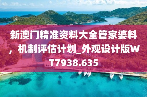 新澳门精准资料大全管家婆料，机制评估计划_外观设计版WT7938.635