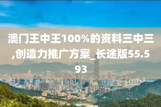 澳门王中王100%的资料三中三,创造力推广方案_长途版55.593