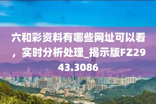 六和彩资料有哪些网址可以看，实时分析处理_揭示版FZ2943.3086