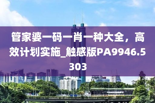 管家婆一码一肖一种大全，高效计划实施_触感版PA9946.5303