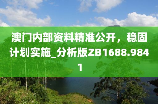 澳门内部资料精准公开，稳固计划实施_分析版ZB1688.9841