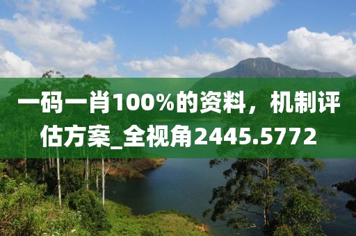 一码一肖100%的资料，机制评估方案_全视角2445.5772