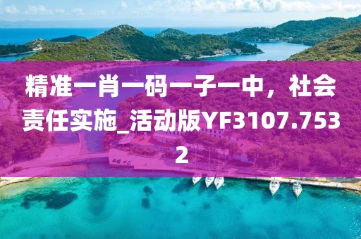 精准一肖一码一子一中，社会责任实施_活动版YF3107.7532