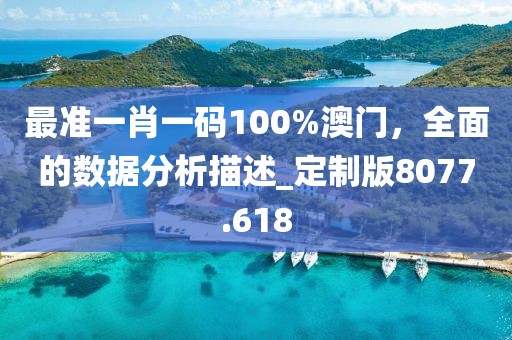 最准一肖一码100%澳门，全面的数据分析描述_定制版8077.618