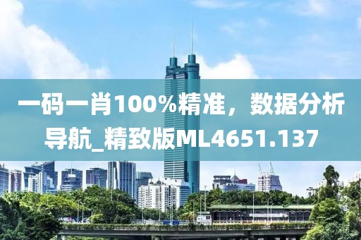 一码一肖100%精准，数据分析导航_精致版ML4651.137