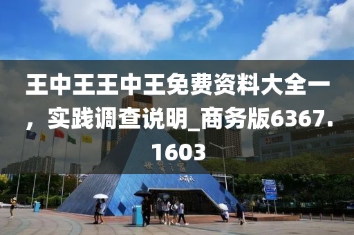 王中王王中王免费资料大全一，实践调查说明_商务版6367.1603