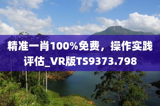 精准一肖100%免费，操作实践评估_VR版TS9373.798