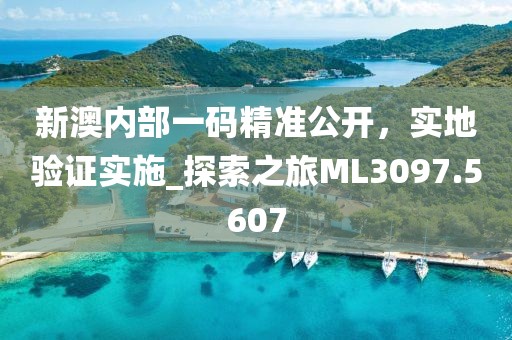 新澳内部一码精准公开，实地验证实施_探索之旅ML3097.5607