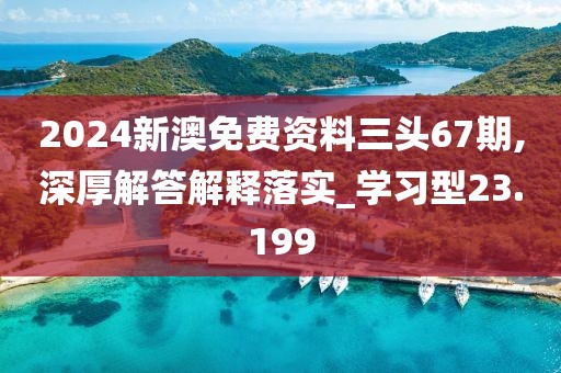 2024新澳免费资料三头67期,深厚解答解释落实_学习型23.199