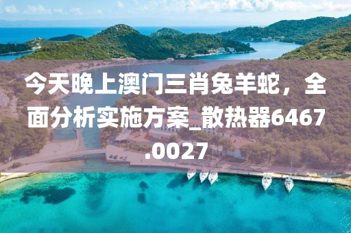 今天晚上澳门三肖兔羊蛇，全面分析实施方案_散热器6467.0027