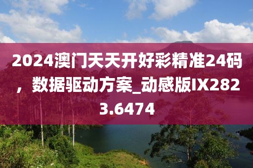 2024澳门天天开好彩精准24码，数据驱动方案_动感版IX2823.6474