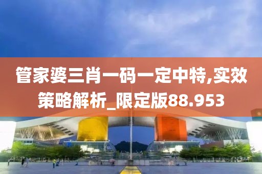 管家婆三肖一码一定中特,实效策略解析_限定版88.953