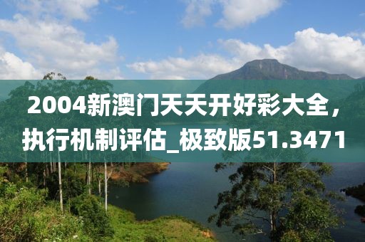2004新澳门天天开好彩大全，执行机制评估_极致版51.3471