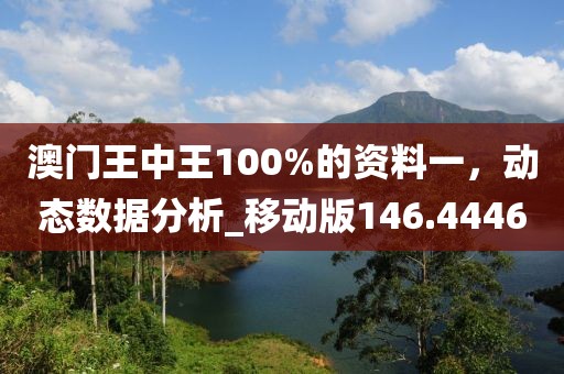 澳门王中王100%的资料一，动态数据分析_移动版146.4446