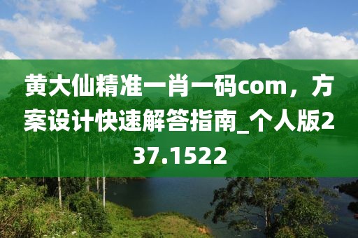 黄大仙精准一肖一码com，方案设计快速解答指南_个人版237.1522