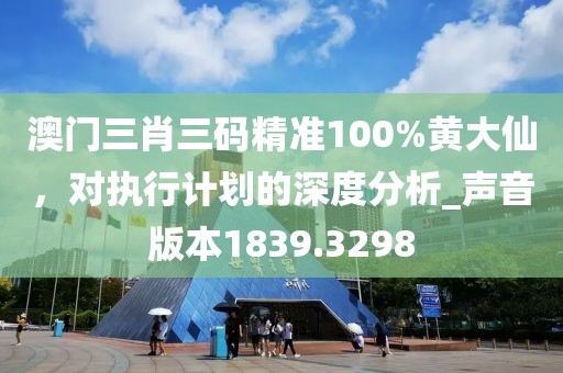 澳门三肖三码精准100%黄大仙，对执行计划的深度分析_声音版本1839.3298