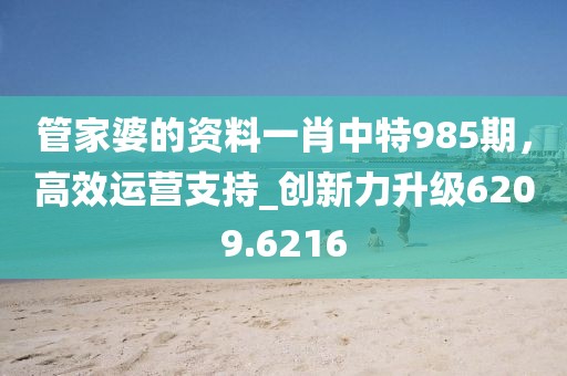管家婆的资料一肖中特985期，高效运营支持_创新力升级6209.6216
