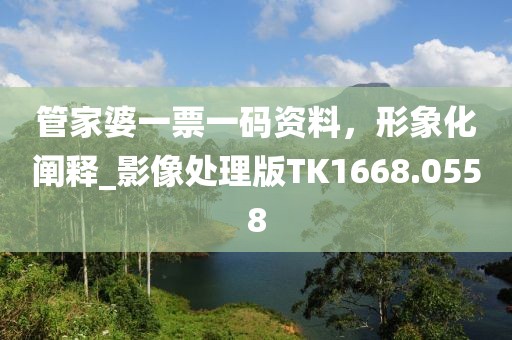 管家婆一票一码资料，形象化阐释_影像处理版TK1668.0558