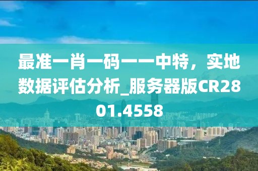最准一肖一码一一中特，实地数据评估分析_服务器版CR2801.4558