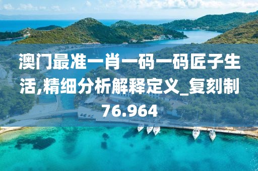 澳门最准一肖一码一码匠子生活,精细分析解释定义_复刻制76.964