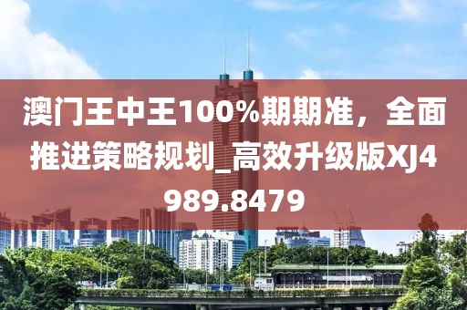 澳门王中王100%期期准，全面推进策略规划_高效升级版XJ4989.8479