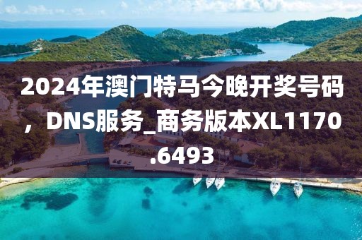 2024年澳门特马今晚开奖号码，DNS服务_商务版本XL1170.6493