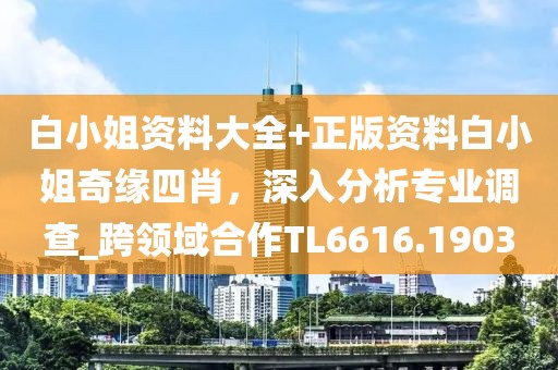 白小姐资料大全+正版资料白小姐奇缘四肖，深入分析专业调查_跨领域合作TL6616.1903