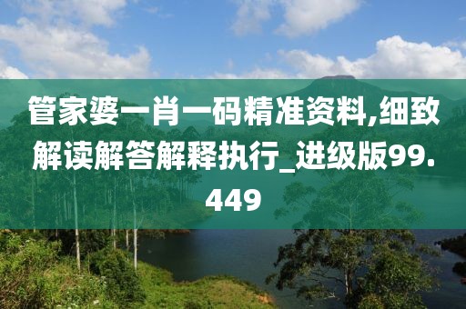管家婆一肖一码精准资料,细致解读解答解释执行_进级版99.449