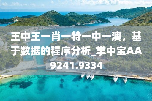 王中王一肖一特一中一澳，基于数据的程序分析_掌中宝AA9241.9334