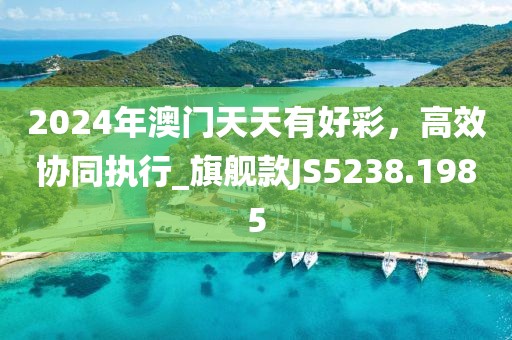 2024年澳门天天有好彩，高效协同执行_旗舰款JS5238.1985