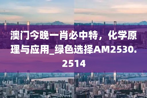 2024年11月 第289页