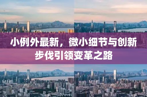 小例外最新，微小细节与创新步伐引领变革之路