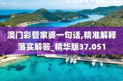 澳门彩管家婆一句话,精准解释落实解答_精华版37.051