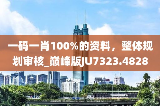 一码一肖100%的资料，整体规划审核_巅峰版JU7323.4828