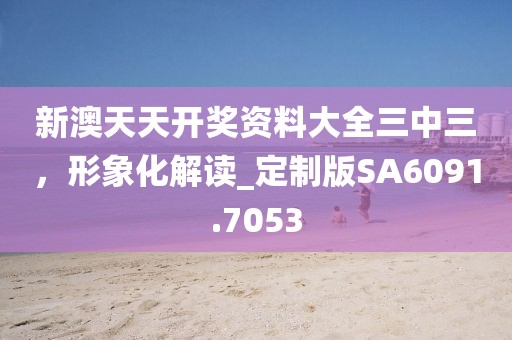 新澳天天开奖资料大全三中三，形象化解读_定制版SA6091.7053