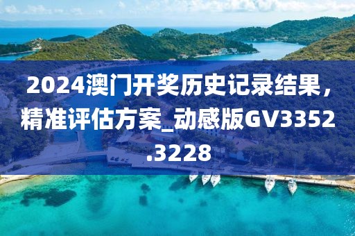 2024澳门开奖历史记录结果，精准评估方案_动感版GV3352.3228