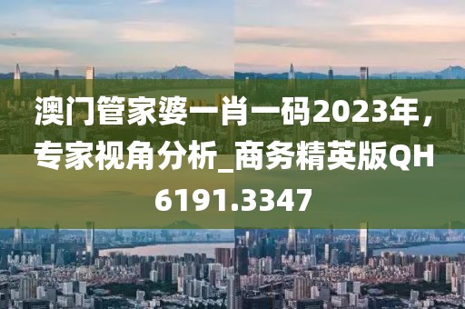 澳门管家婆一肖一码2023年，专家视角分析_商务精英版QH6191.3347
