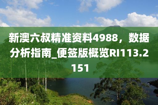 新澳六叔精准资料4988，数据分析指南_便签版概览RI113.2151