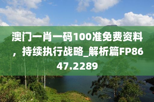 澳门一肖一码100准免费资料，持续执行战略_解析篇FP8647.2289