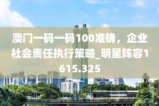 澳门一码一码100准确，企业社会责任执行策略_明星阵容1615.325