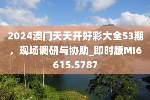 2024澳门天天开好彩大全53期，现场调研与协助_即时版MI6615.5787