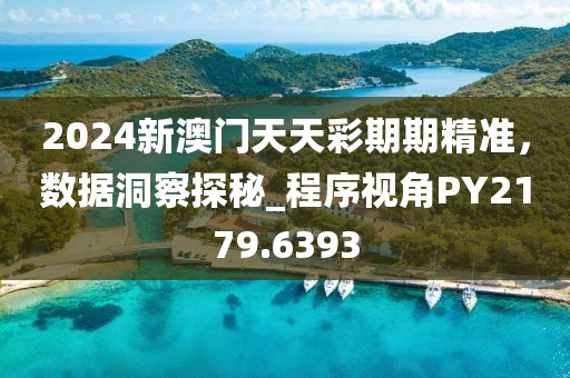 2024新澳门天天彩期期精准，数据洞察探秘_程序视角PY2179.6393