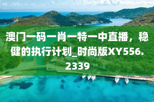 澳门一码一肖一特一中直播，稳健的执行计划_时尚版XY556.2339