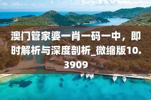 澳门管家婆一肖一码一中，即时解析与深度剖析_微缩版10.3909