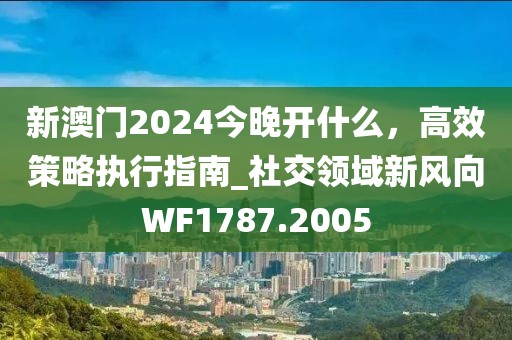 新澳门2024今晚开什么，高效策略执行指南_社交领域新风向WF1787.2005
