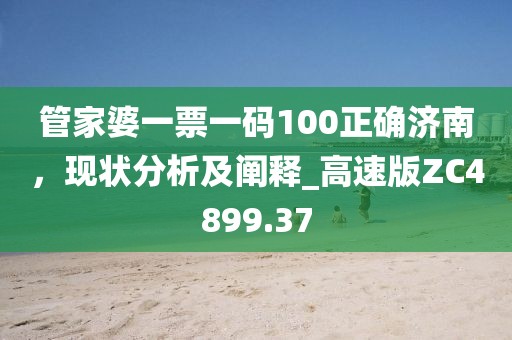 管家婆一票一码100正确济南，现状分析及阐释_高速版ZC4899.37
