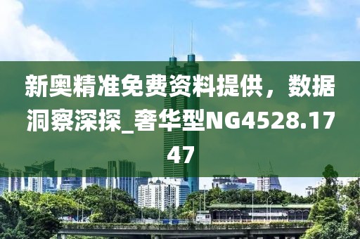 新奥精准免费资料提供，数据洞察深探_奢华型NG4528.1747
