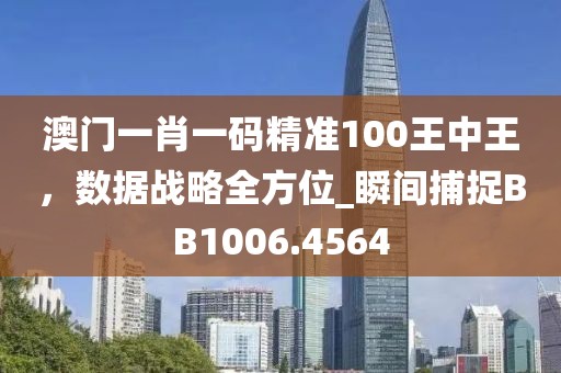 澳门一肖一码精准100王中王，数据战略全方位_瞬间捕捉BB1006.4564