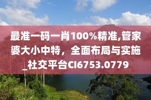 最准一码一肖100%精准,管家婆大小中特，全面布局与实施_社交平台CI6753.0779