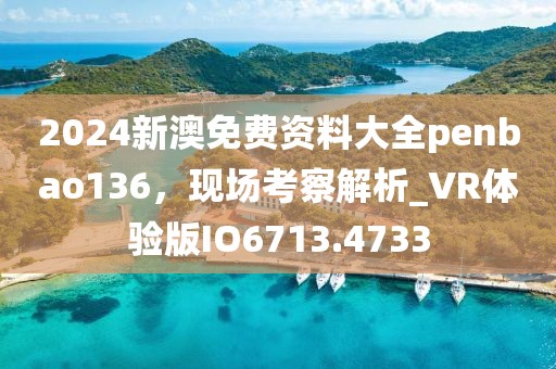 2024新澳免费资料大全penbao136，现场考察解析_VR体验版IO6713.4733